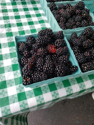 Black berries