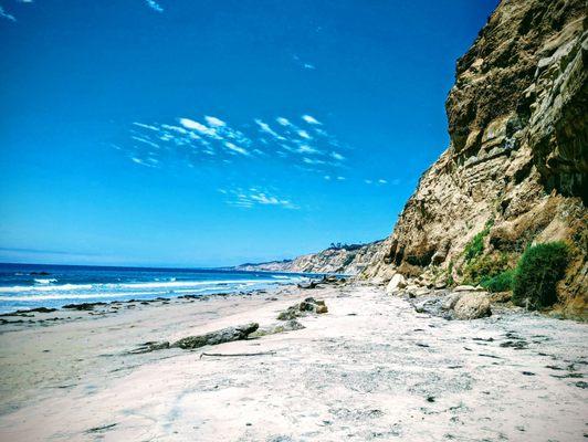 Scripps Beach