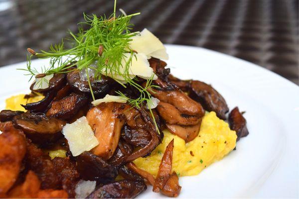 Foraged mushrooms over European style, soft scrambled eggs!