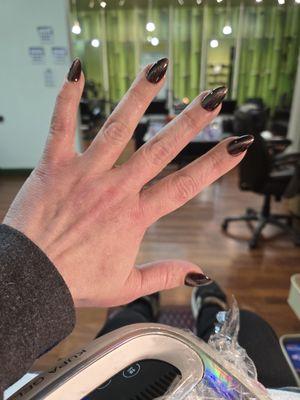 Medium length almond shaped gel extensions with cats-eye gel polish