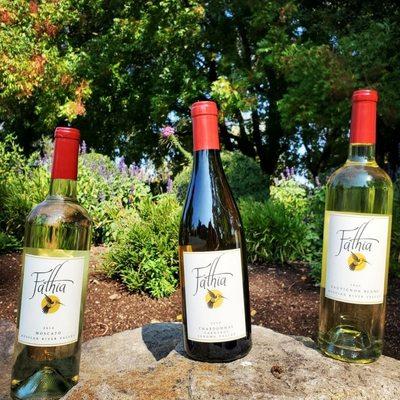 Sauvignon Blanc, Chardonnay and Moscato