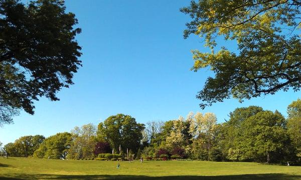 This part of the park is accessible by Park Drive