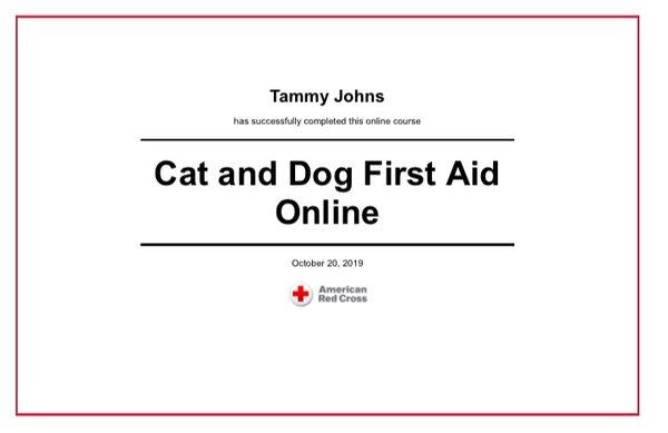 I am now certified in animal first aid & CPR!