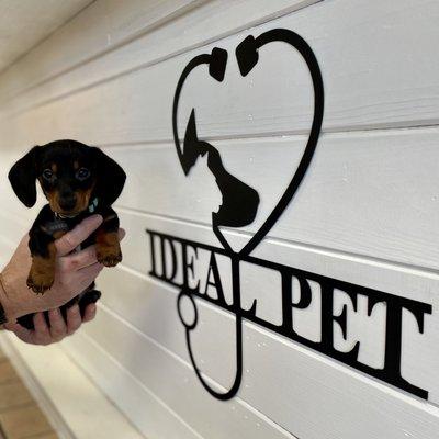 Ideal Pet Care