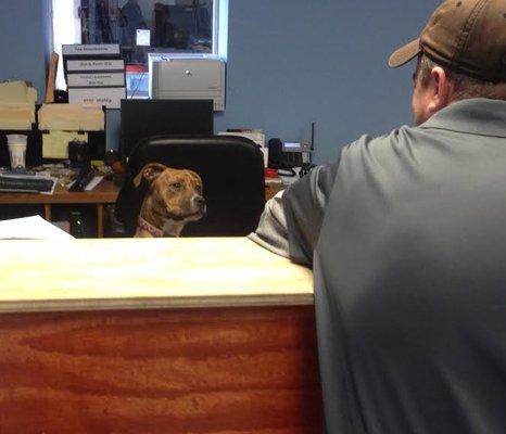 Peyton manning the front desk