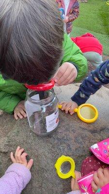 Using a magnifying glass