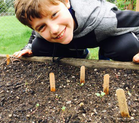 The school garden is an wonderful opportunity for students to get hands on experience with nature, experience science.