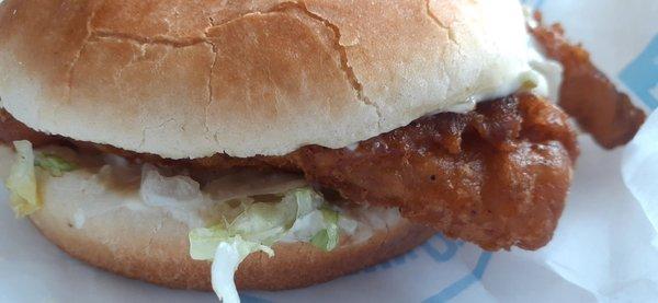 Spicy fish sandwich-not really  spicy.