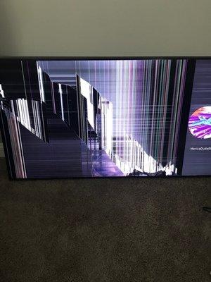 A broken 55 inch tv that wasn't even a year old. Was properly placed in a tv box but came to us like this.