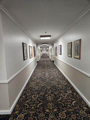 Second floor hallway