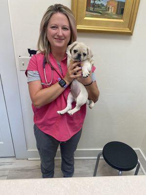 Annie Adam's,DVM assessing my pug