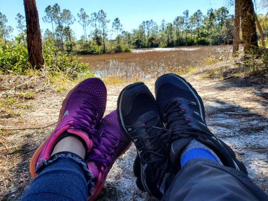 Relaxing ....taking in the beauty of silence. Okeeheelee nature trail