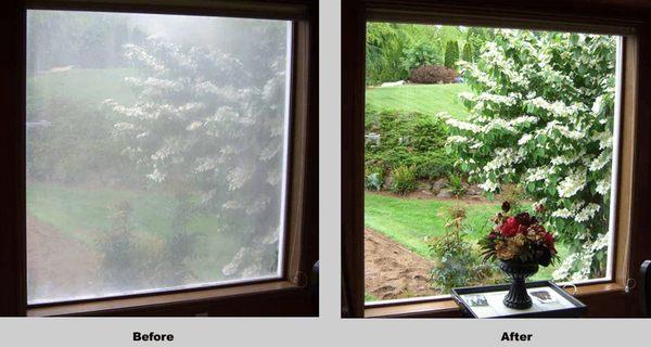 We can repair your foggy windows!