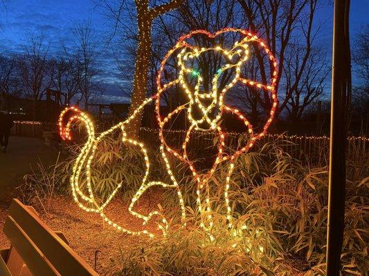 Christmas at the Zoo lights