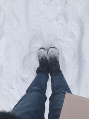 Snowy walk