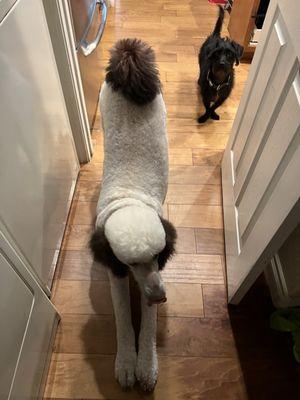 Elie stretching in the laundry room with her brother Jack.