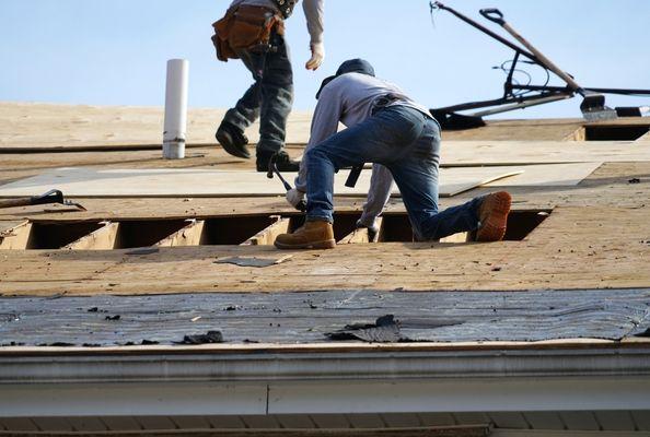 Board damage repair/ new roof