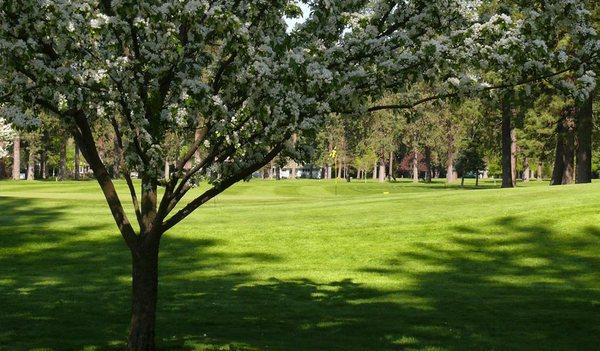 Coeur D'alene Public Golf Club