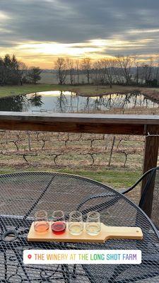 The Winery at the Long Shot Farm