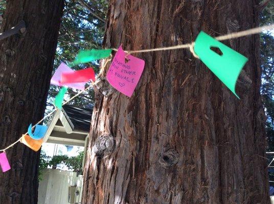 quote flags strung on trees at entrance