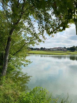 Beautiful morning at Franklin Bridge Golf course