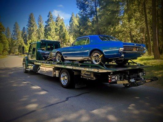 Gold Country Tow