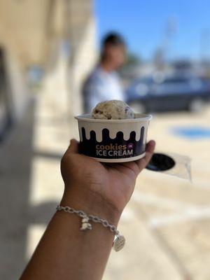 Ice Cream on a Classic Cookie