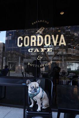 Outdoor patio seating at the dog-friendly Cordova Cafe & Bottleshop in Pasadena.