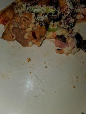 Hair I retrieved from my pizza.