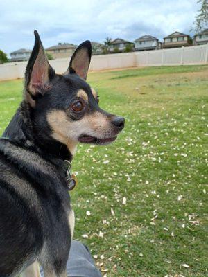 Ewa Beach Dog Park