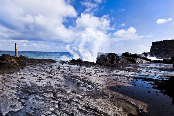 Five Star Circle Island - Halona Blowhole
 
 
 (808) 439-8810