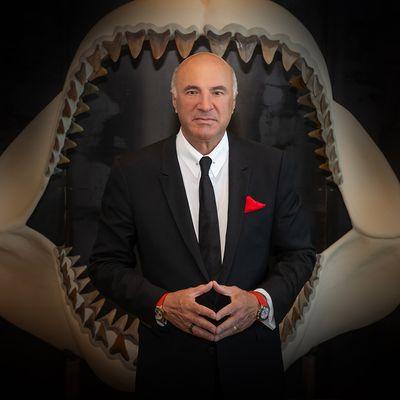 Kevin O'Leary, Shark Tank