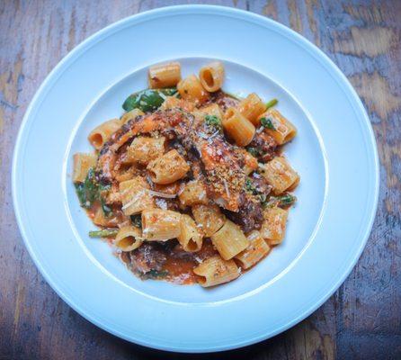 Hand Cut Rigatoni, spicy lamb sausage, octopus