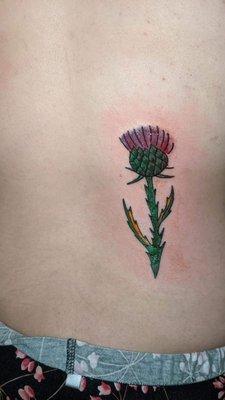 A thistle