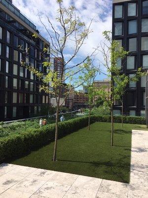 The view of The Highline in Manhattan from the terrace of a maintenance customer.