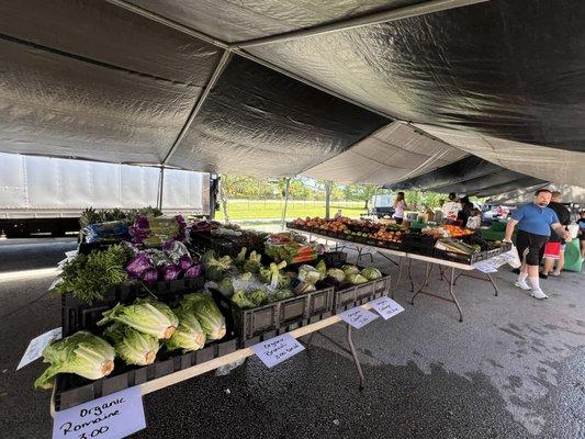 Plantation Farmers Market