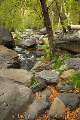 Oak Creek, Banjo Bill picnic area