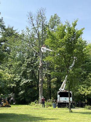 Warwick Tree Service