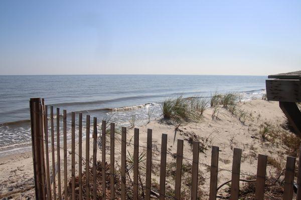 Pickering Beach