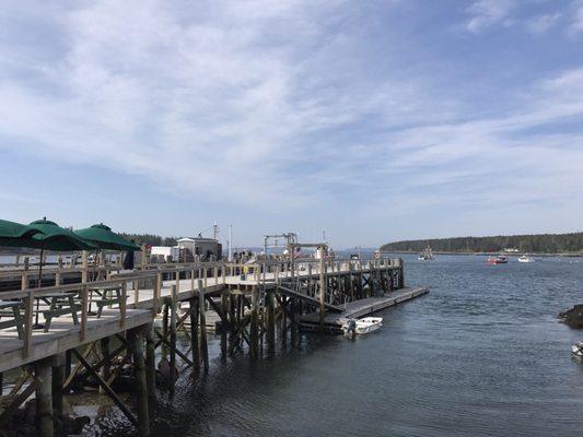 View from Squid Ink Coffee from their comfortable Adirondack chairs.