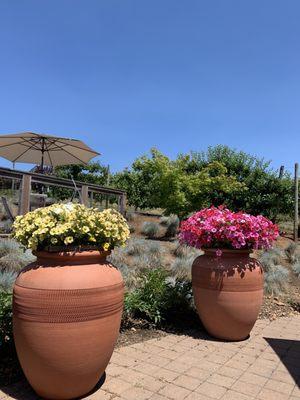 Clay pots the wine is made in