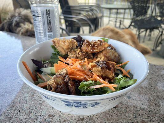 Fried chicken bowl--yummy!