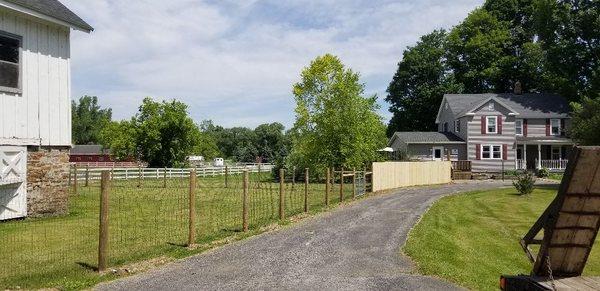 5' horse fence with black woven wire