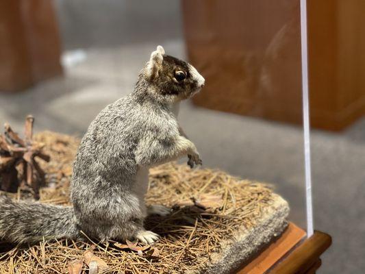 North Carolina Museum of Natural Sciences