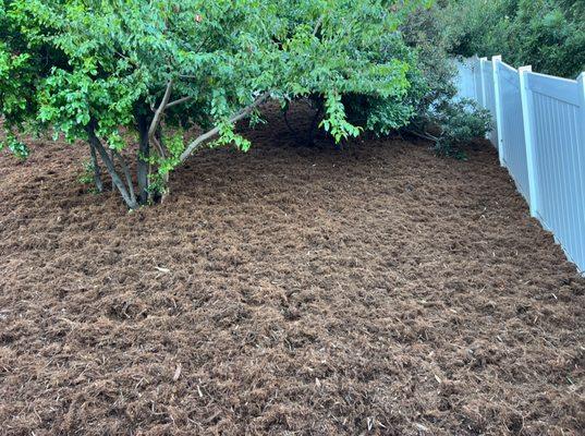 Gorilla Hair Shredded Mulch Finished Product On Slope Elevation