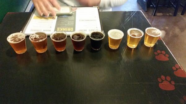 Beer sampler!