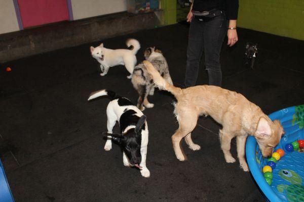 Play time with friends at daycare, TGDS