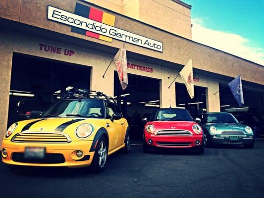 We specialize in Mini too!