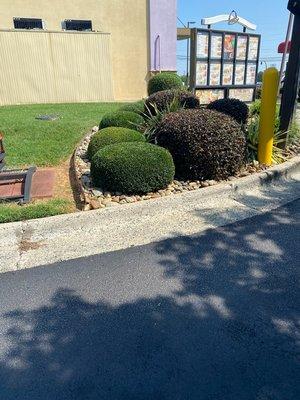 D&S Landscaping And More