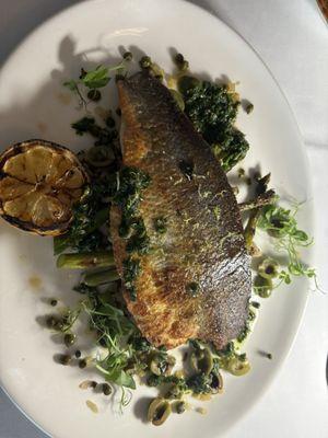 Bronzina fish with ancient grains, purée of kale, olives, and capers in a light sauce. Absolutely superb!